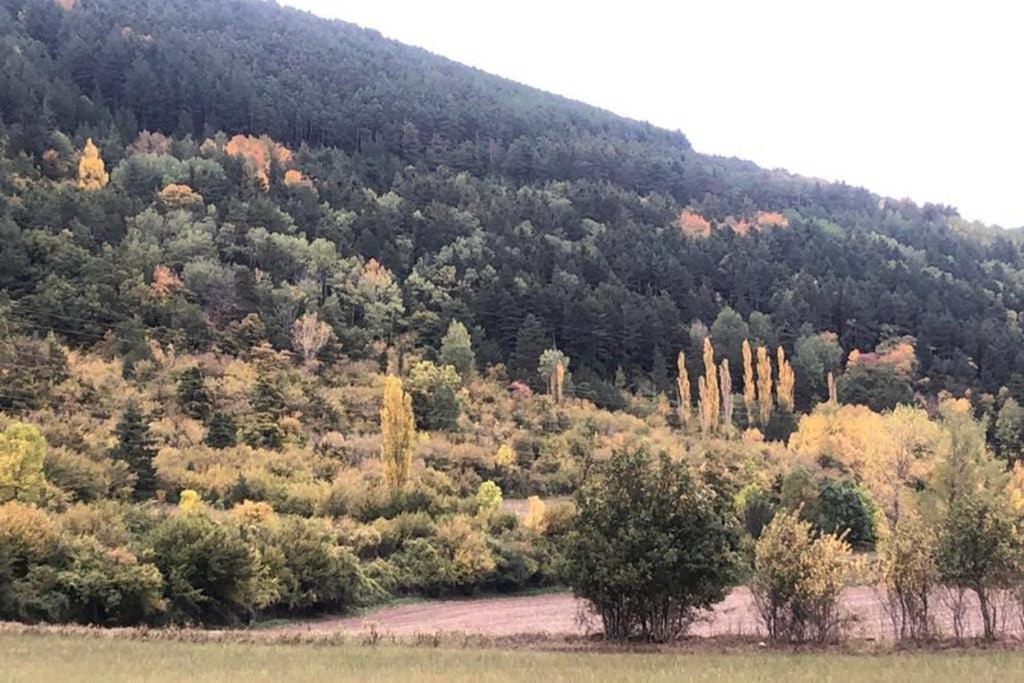 Rincon De Pepo Lägenhet Villanúa Exteriör bild